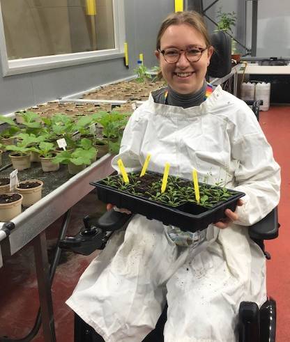 Scientist in a greenhouse holding a tray of plants, with plants behind her. The scientist is a young white woman with glasses who is smiling. She is wearing a white lab coat and is sitting in her electric wheelchair.
